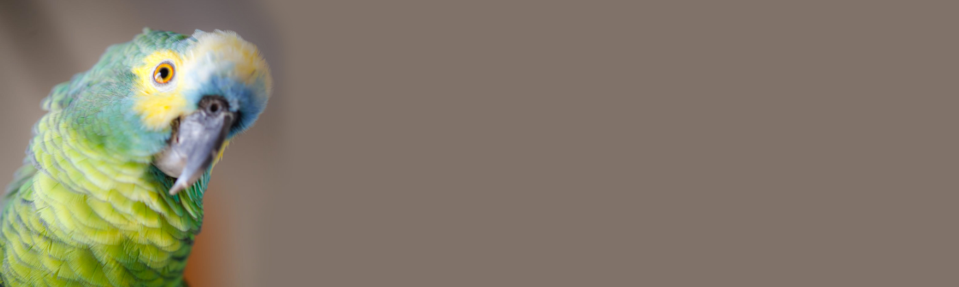 Request a Quote