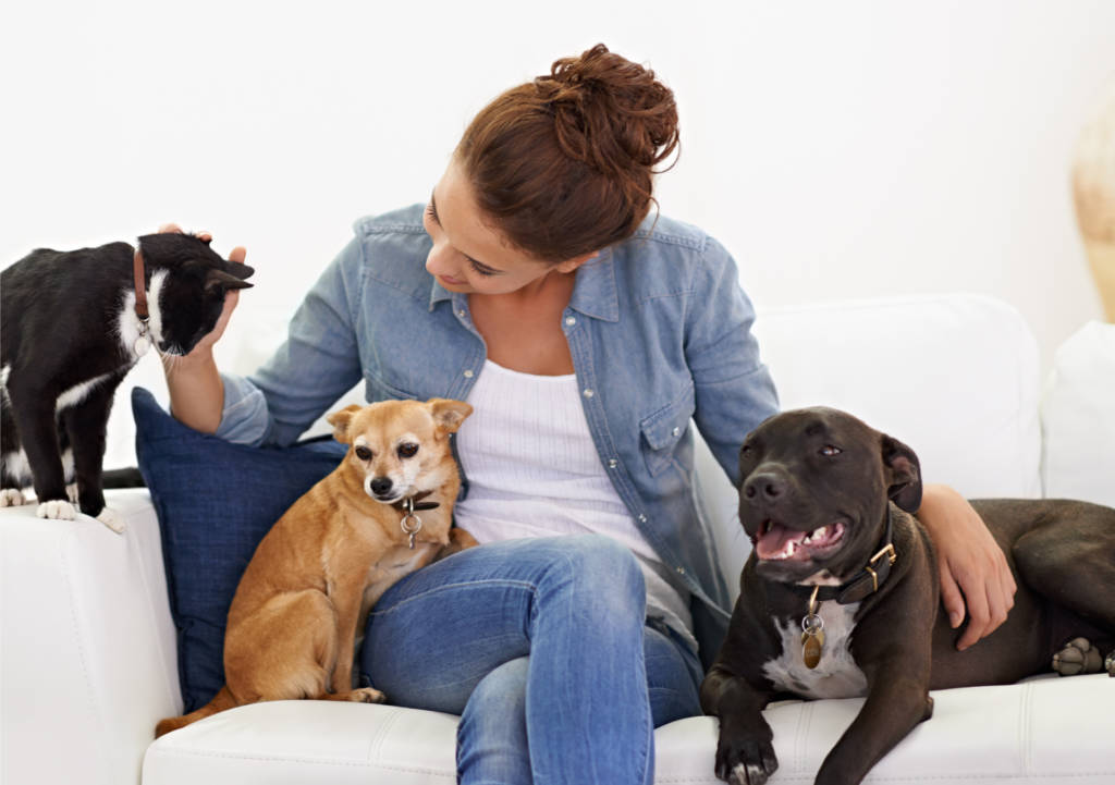 In a perfect world, our pets would go everywhere with us, but it just doesn’t work that way. Sometimes we need someone to fill in the gap. Enter us – Stay at Home Pet Services.