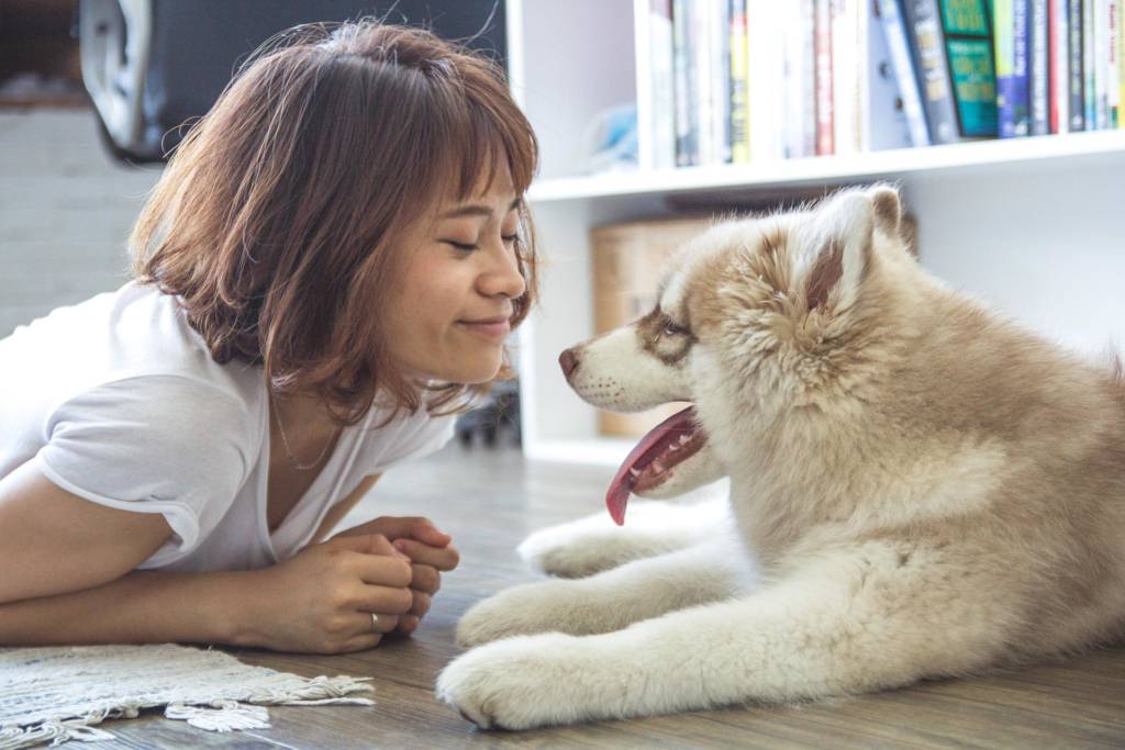 You might already know how to introduce your dog to “Sit,” “Stay,” and “Down.” But did you know there’s a foundation you can lay that will make your dog’s behavior the envy of the neighborhood?