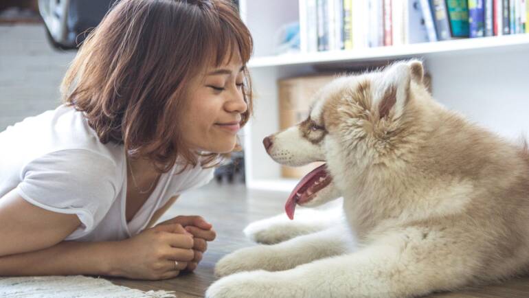 11 Ways to Ease Your Pet’s Anxiety When Left Home Alone