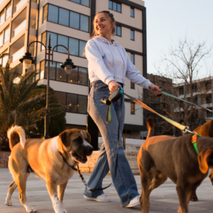 A professional dog walker & pet sitter