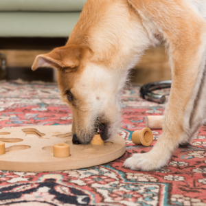 A dog puzzle