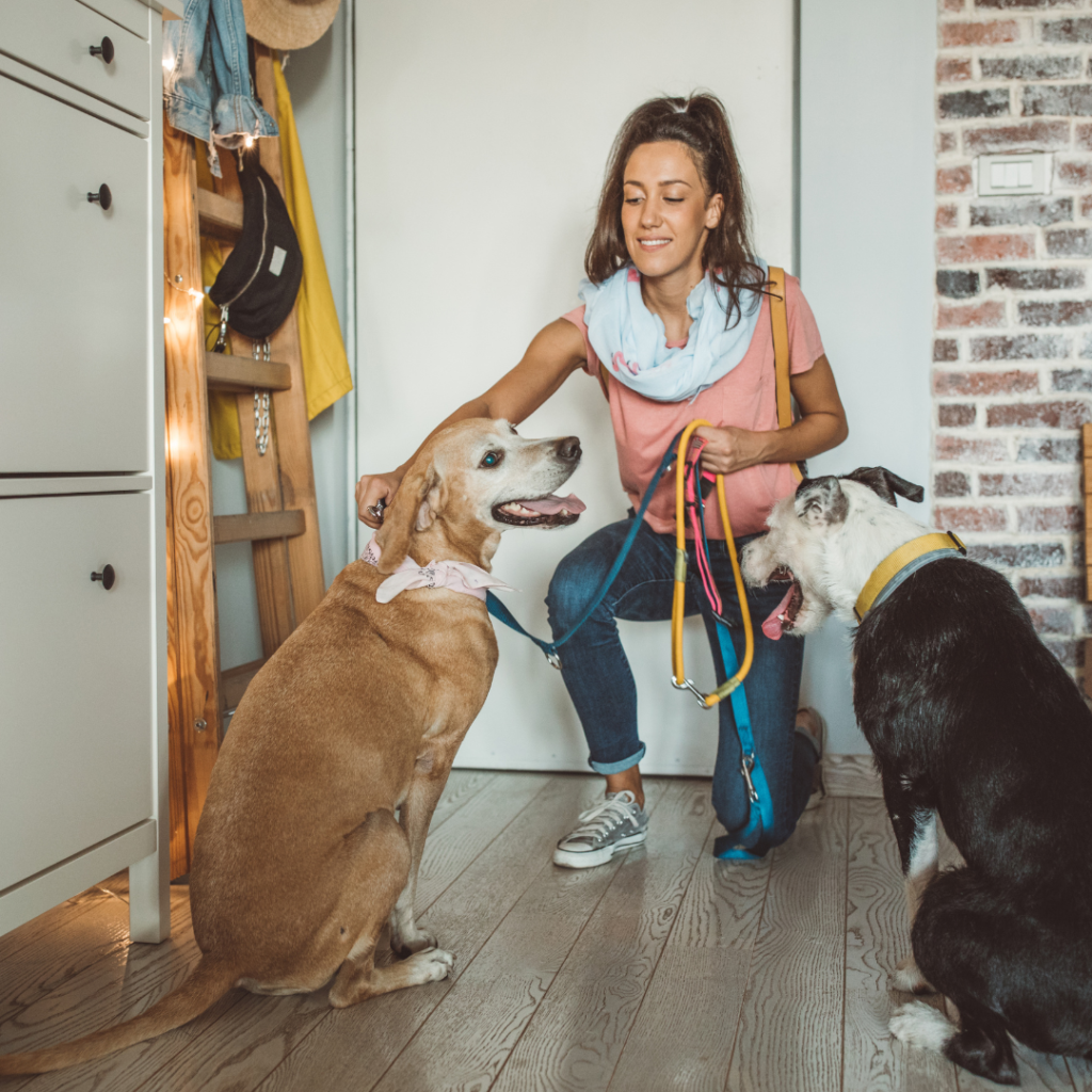 This article will discuss the many benefits of hiring a professional pet sitter.