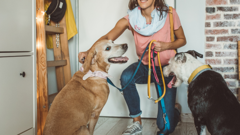 Reasons To Hire A Pet Sitter