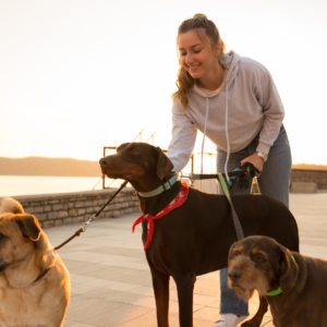 A professional dog walker