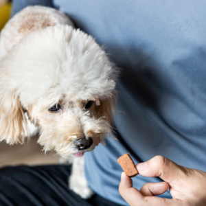 Heartworm chewable tablet