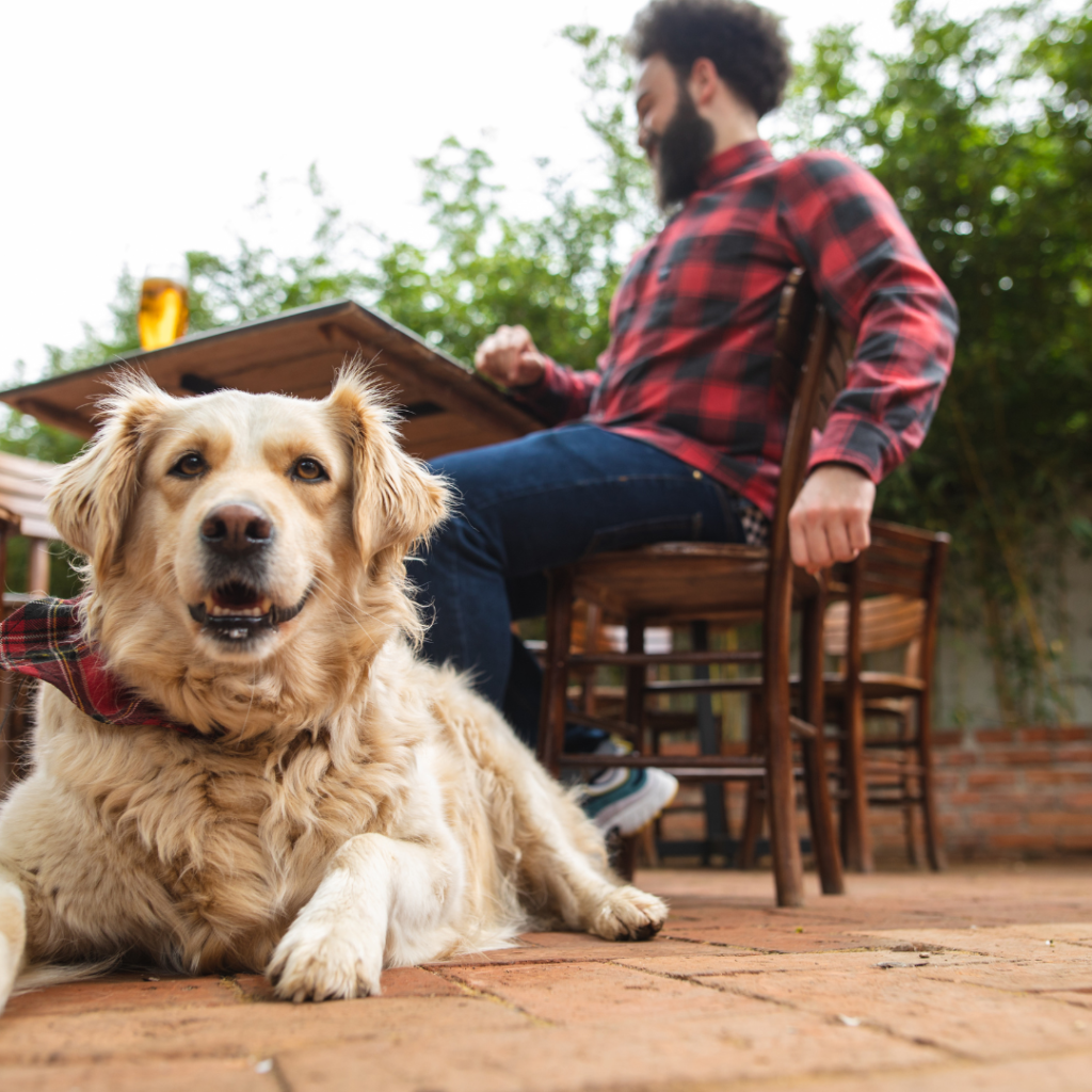 Taking An In-Depth Look Into Some Of Our Personal Favorite Dog-Friendly Breweries & Taprooms In The Cincinnati, Ohio Area