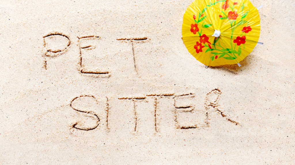 Discussing The Differences Between Professional Pet Sitters And Pet Sitting Hobbyists And Which Is Better For Your Pets