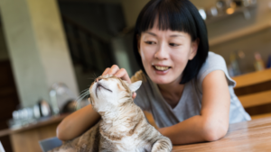 Cat ownership can improve your health