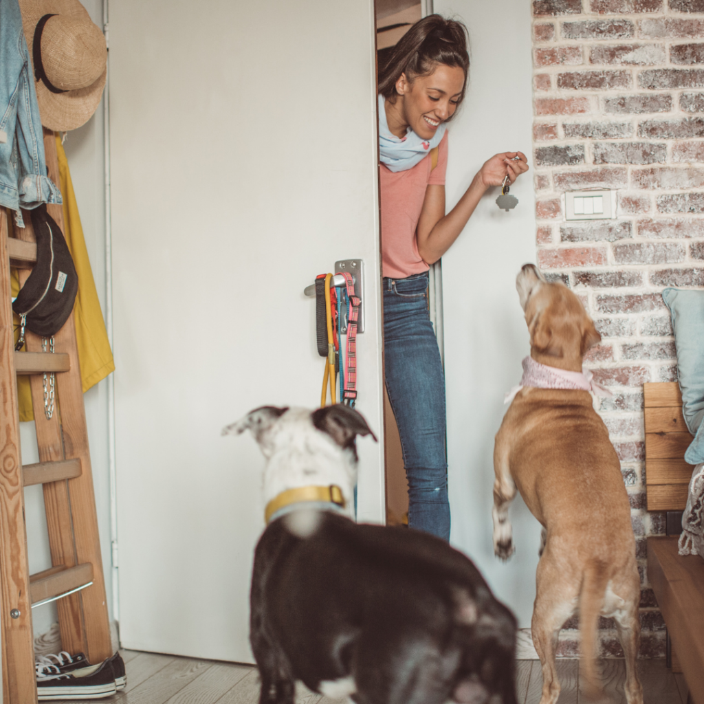 Discussing The Best And Most Practical Ways To Prepare For Your Professional Pet Sitter Before Leaving For Your Vacation