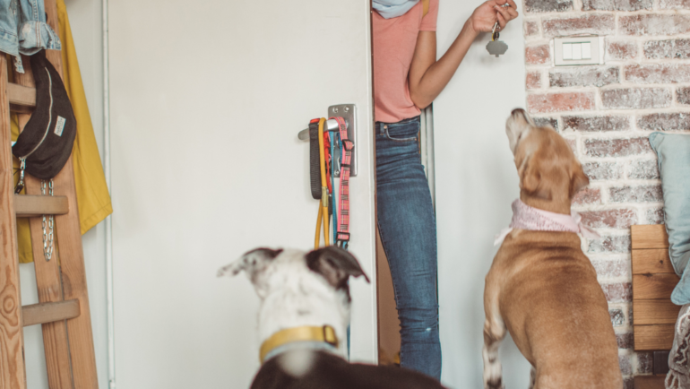 Preparing For Your Pet Sitter