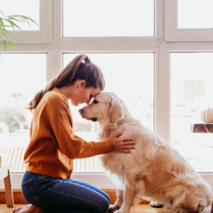 Reflect on the joy your dog brings