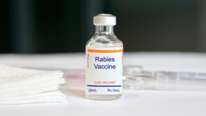 Rabies vaccine