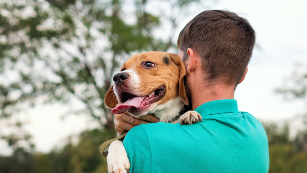 Taking An In-Depth Look Into Dog Ownership And What It Means To Be A Responsible Dog Owner In Honor Of Responsible Dog Owner Month