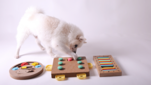 Interactive dog toys