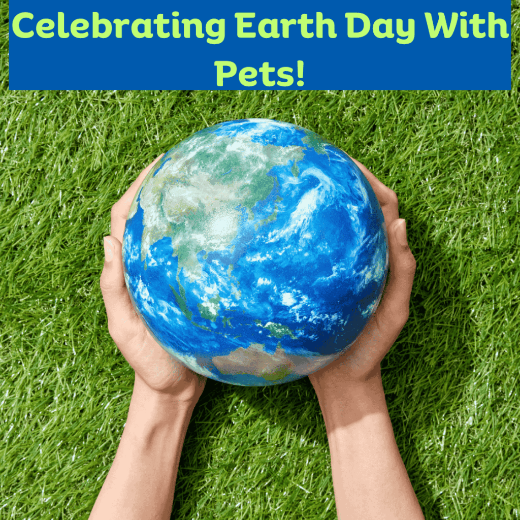 Discussing Some Creative Ways Pet Owners Can Celebrate Earth Day And Include Their Pets In Going Green