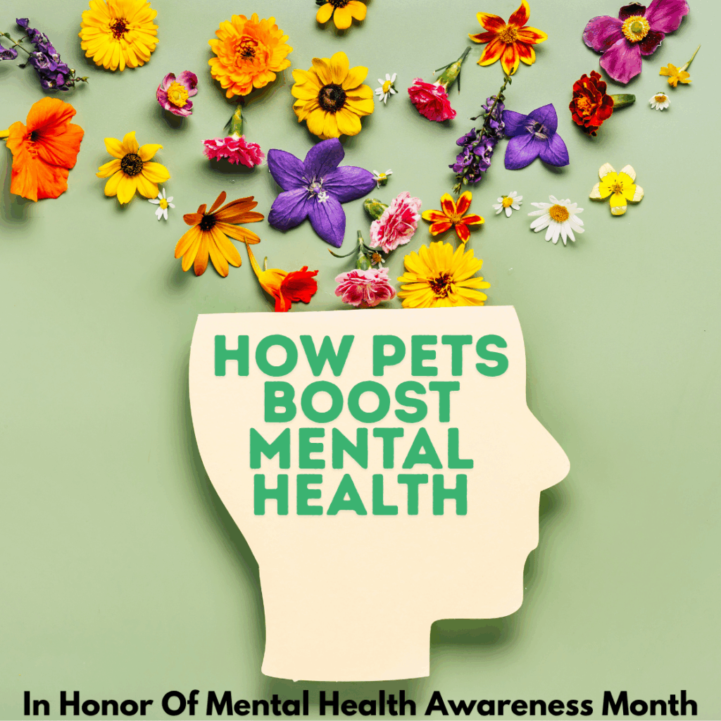 Taking An In-Depth Look Into How Pets Can Improve Our Mental Health In Honor Of Mental Health Awareness Month
