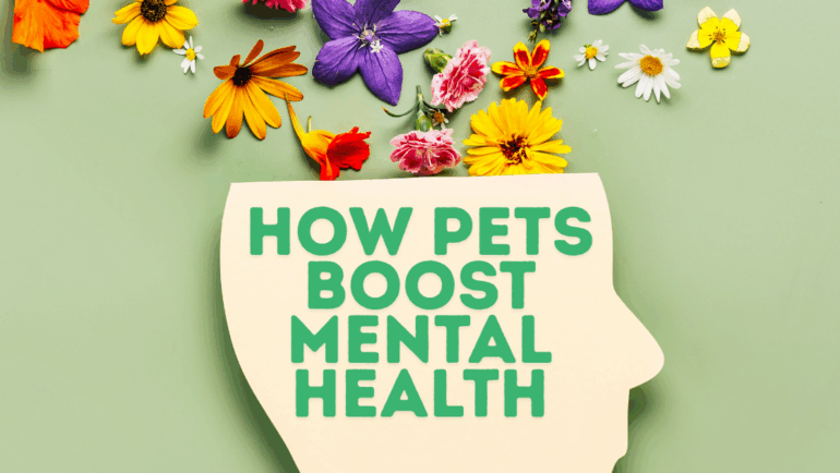 How Pets Boost Mental Health
