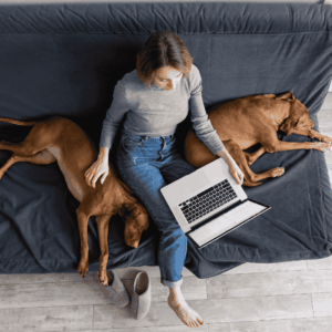 Why Busy Professionals & Parents Need Dog Walking Help