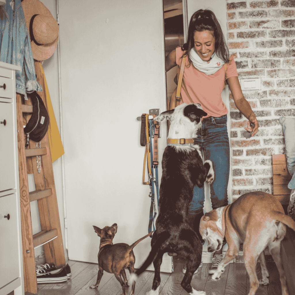 Hire A Pet Sitter Today!