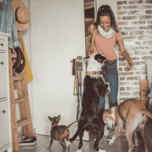 Hire A Pet Sitter Today!