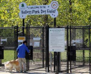 Kellogg Park Dog Field