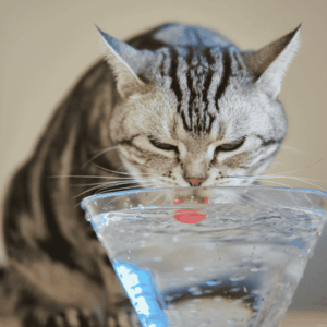Hydration is Essential