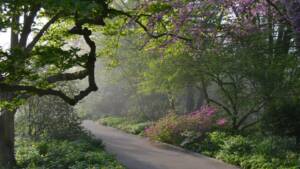Ault Park