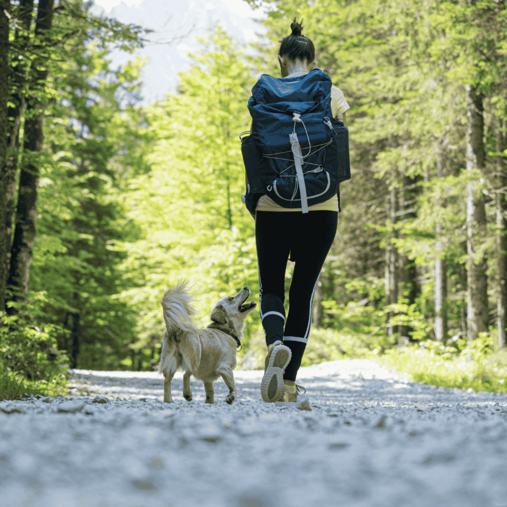 Cincinnati’s top dog-friendly parks, trails, and summer events for weekend adventures with your furry friend!
