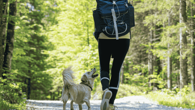 Dog-Friendly Cincinnati: Parks, Trails, & Events