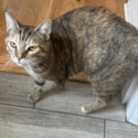 Jenny