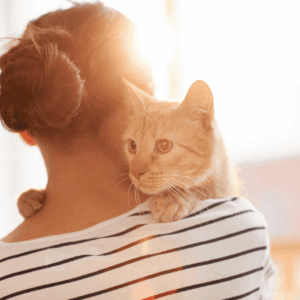 Hire A Professional Cat Sitter Today!