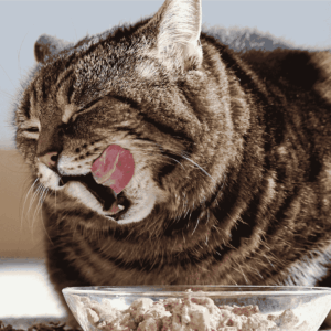 Maintain a Balanced, Nutritious Diet
