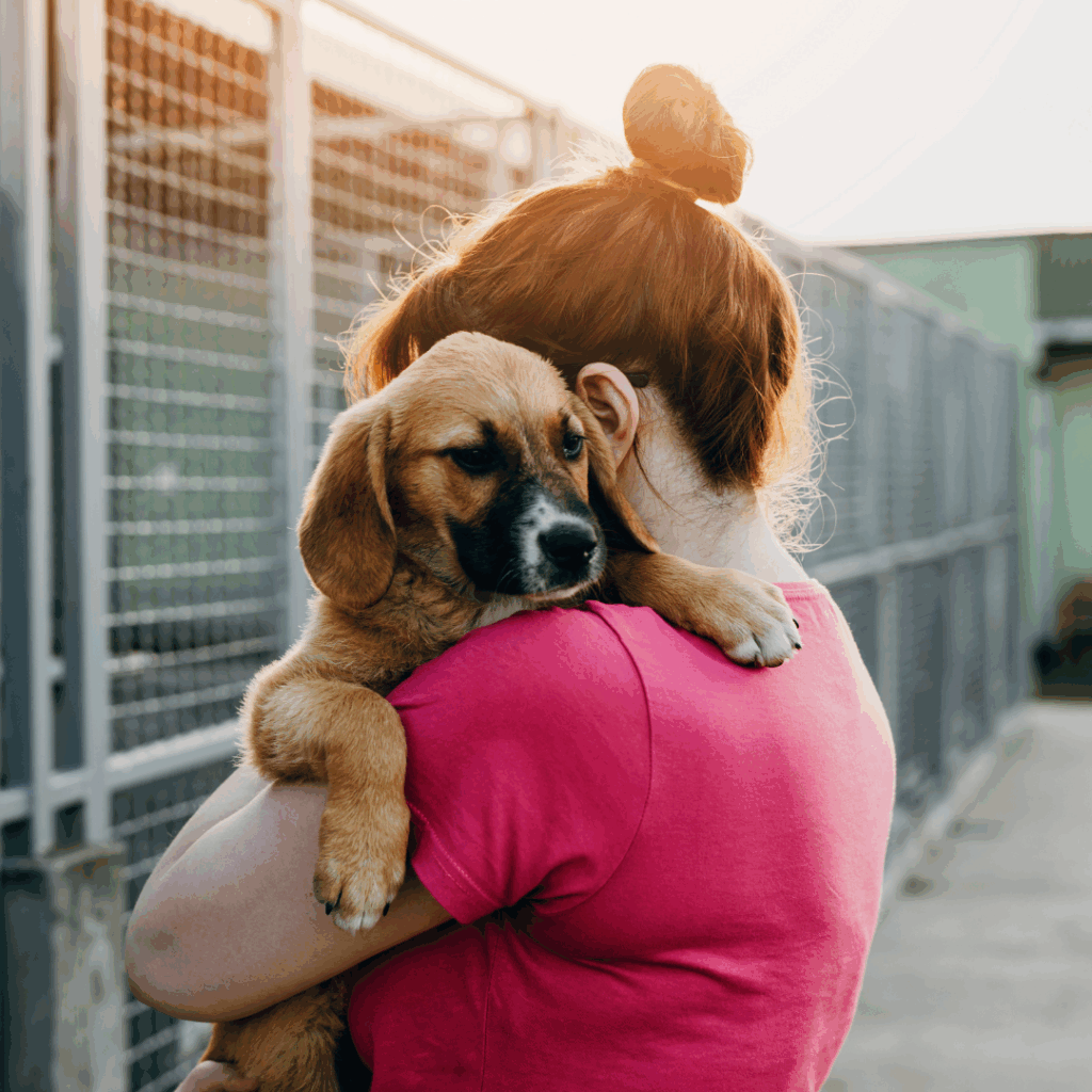 Honor shelter pets and raise awareness with Remember Me Thursday—a day to inspire adoption and support for pets waiting for homes