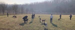 Simmonds family dog park at Miami whitewater forest