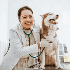 Consult with your vet about vaccine options