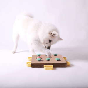 Provide Plenty of Engagement