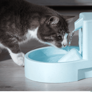 Hydration and Nutrition