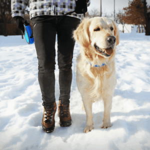 Keep Walks Short but Sweet (and Sunny!)