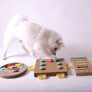 Brain Games For Busy Dogs