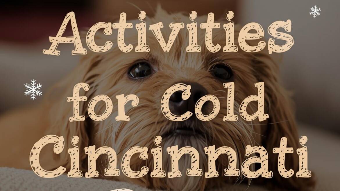 Indoor Pet Activities for Cold Cincinnati Days