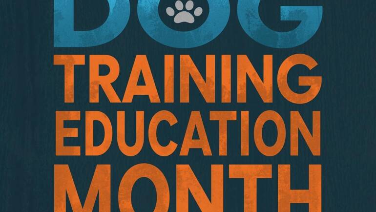 Dog Training Education Month