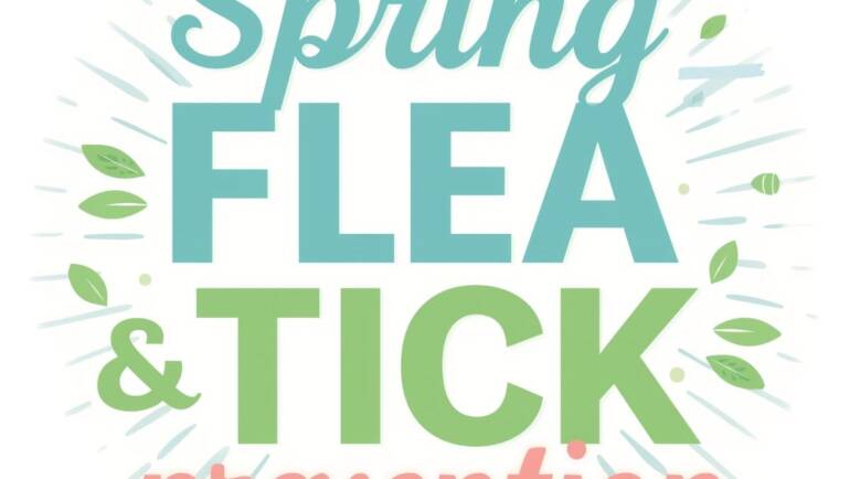 Spring Flea & Tick Prevention