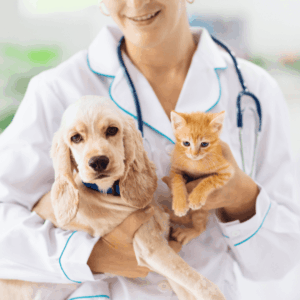 Building a Strong Relationship with Your Vet
