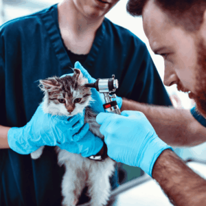 Catching Problems Before They Become Emergencies