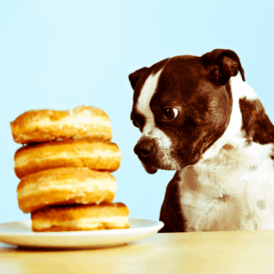 What is National Poison Prevention Week?