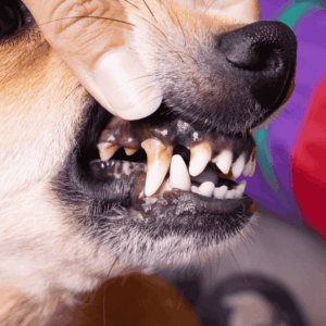 Recognizing Warning Signs