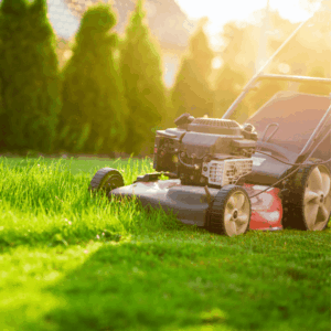 Home and Yard Defense: Maintain Your Yard Proactively