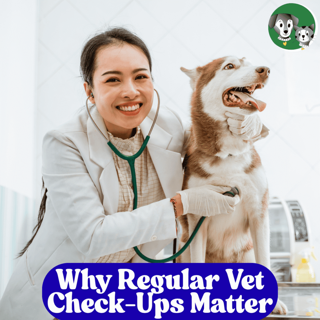World Veterinary Day on April 25 is the perfect time to highlight how important regular vet visits are to your pet’s long-term health and happiness. Routine wellness exams catch hidden issues like kidney disease or dental problems early, keep preventives up to date for spring parasites, and create personalized plans for every life stage, from energetic puppies to senior cats. Discover how these check-ups, paired with our reliable in-home care, ensure your furry friend thrives.