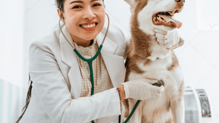 Why Regular Vet Check-Ups Matter